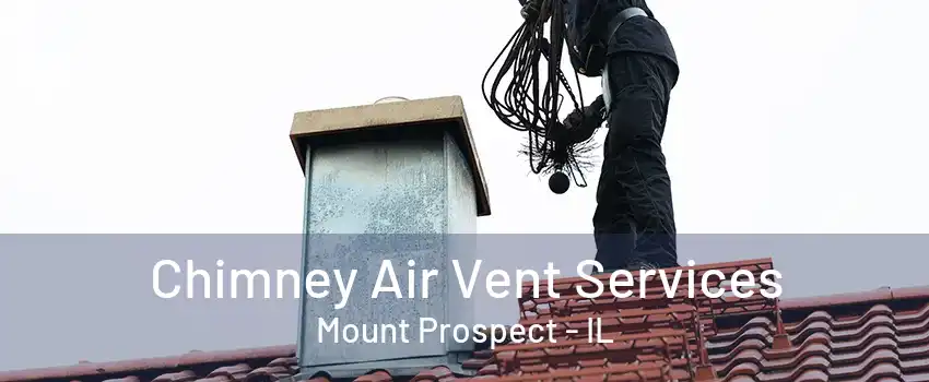 Chimney Air Vent Services Mount Prospect - IL