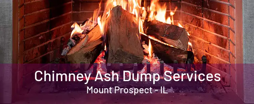 Chimney Ash Dump Services Mount Prospect - IL