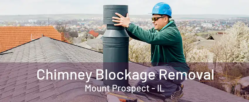 Chimney Blockage Removal Mount Prospect - IL