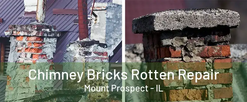 Chimney Bricks Rotten Repair Mount Prospect - IL