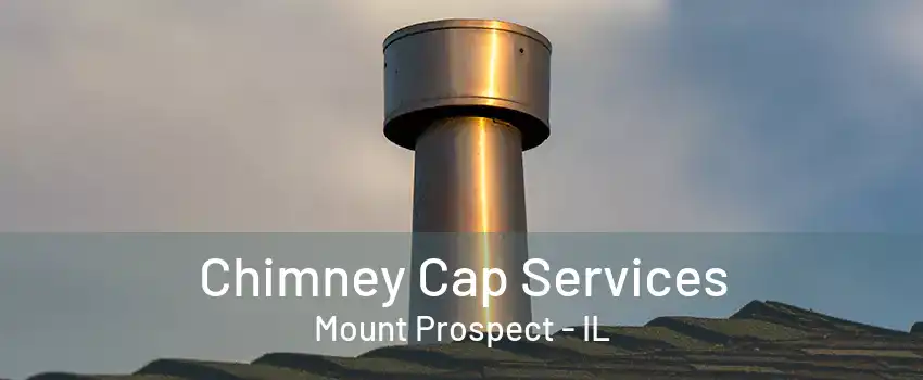 Chimney Cap Services Mount Prospect - IL