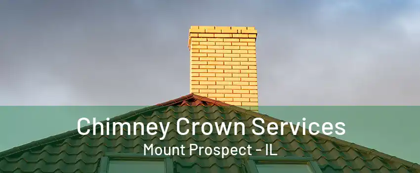 Chimney Crown Services Mount Prospect - IL