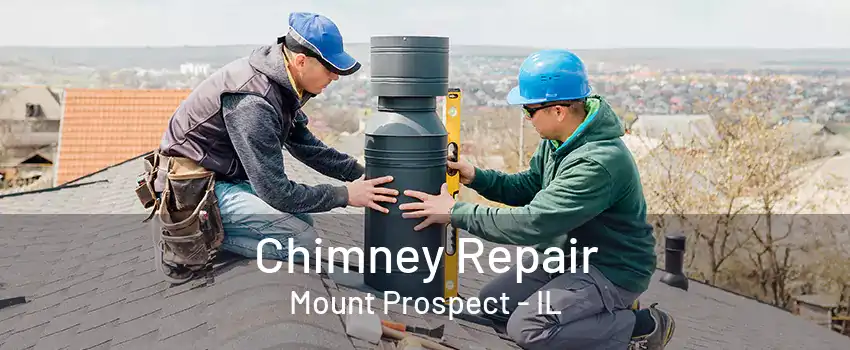 Chimney Repair Mount Prospect - IL