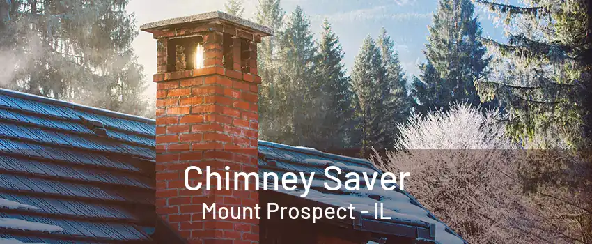 Chimney Saver Mount Prospect - IL