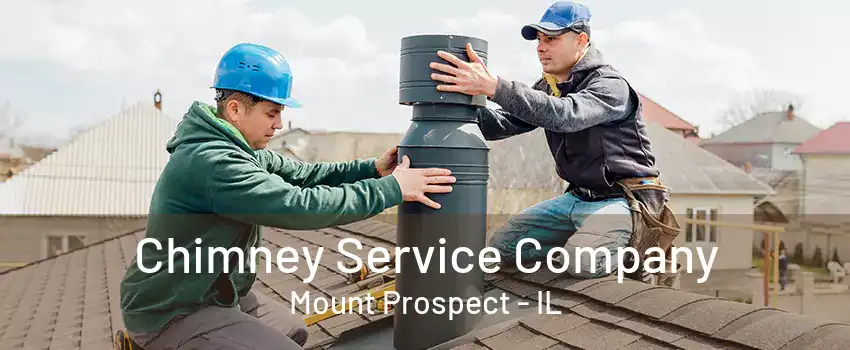 Chimney Service Company Mount Prospect - IL