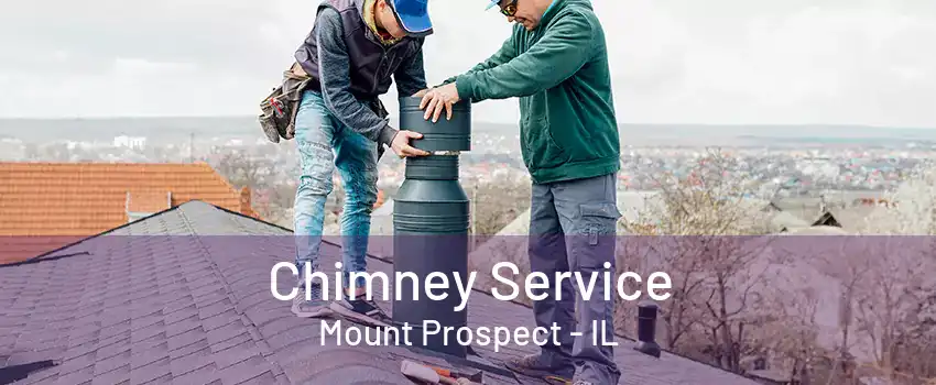 Chimney Service Mount Prospect - IL