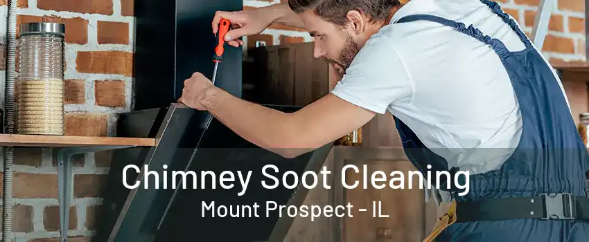 Chimney Soot Cleaning Mount Prospect - IL