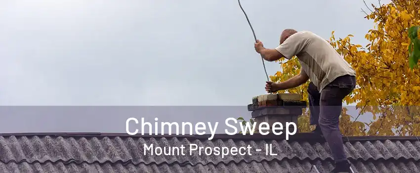 Chimney Sweep Mount Prospect - IL