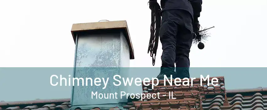 Chimney Sweep Near Me Mount Prospect - IL