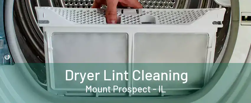 Dryer Lint Cleaning Mount Prospect - IL