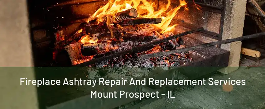 Fireplace Ashtray Repair And Replacement Services Mount Prospect - IL