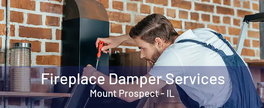 Fireplace Damper Services Mount Prospect - IL