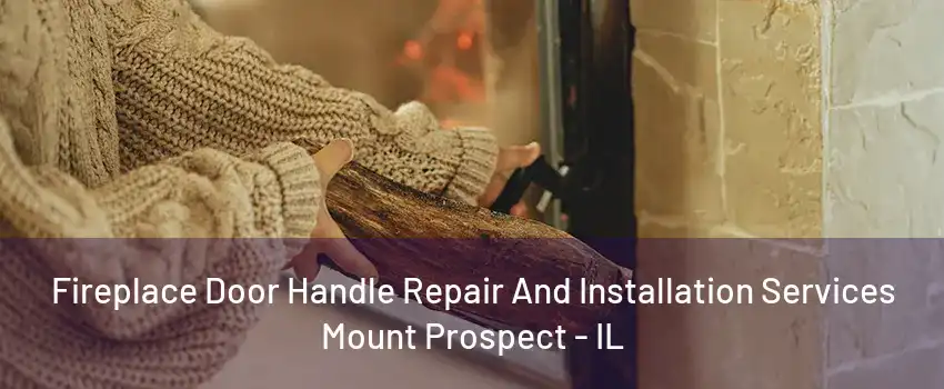 Fireplace Door Handle Repair And Installation Services Mount Prospect - IL