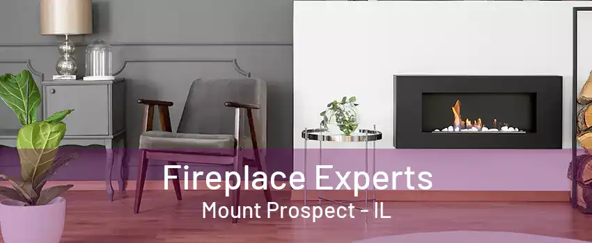 Fireplace Experts Mount Prospect - IL