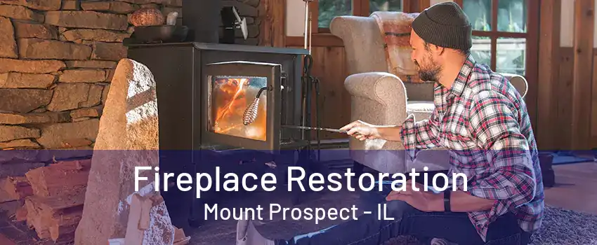 Fireplace Restoration Mount Prospect - IL