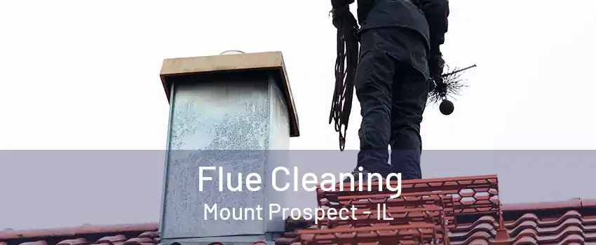 Flue Cleaning Mount Prospect - IL