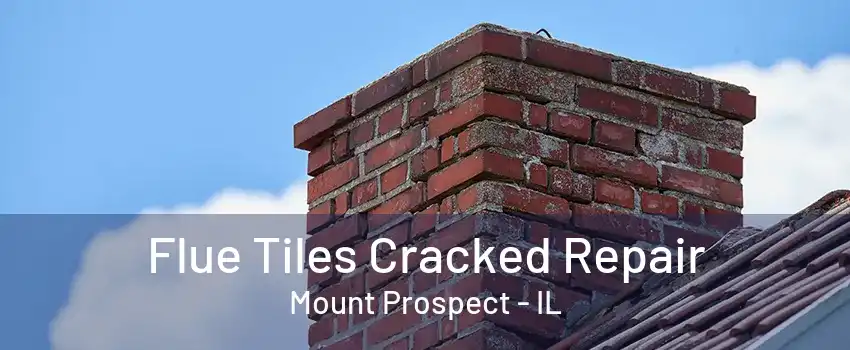 Flue Tiles Cracked Repair Mount Prospect - IL