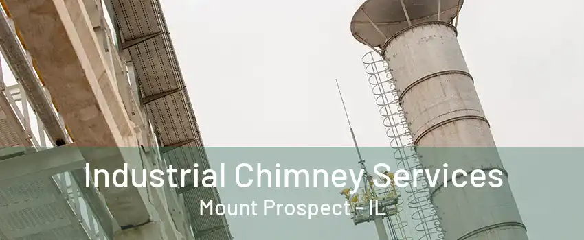 Industrial Chimney Services Mount Prospect - IL