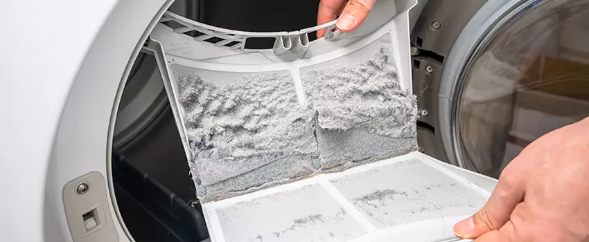 Best Dryer Lint Removal Company in Mount Prospect, Illinois