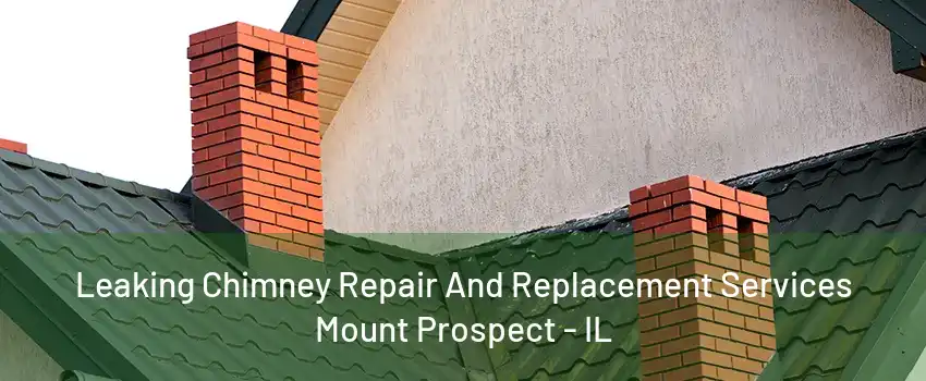 Leaking Chimney Repair And Replacement Services Mount Prospect - IL