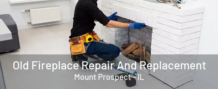 Old Fireplace Repair And Replacement Mount Prospect - IL