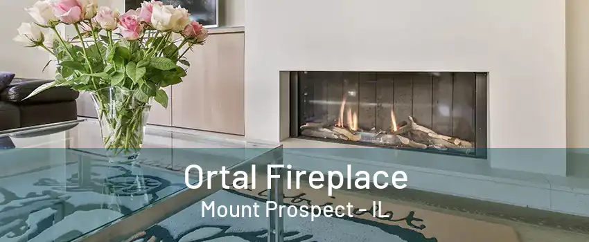 Ortal Fireplace Mount Prospect - IL