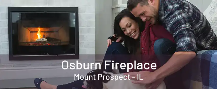 Osburn Fireplace Mount Prospect - IL