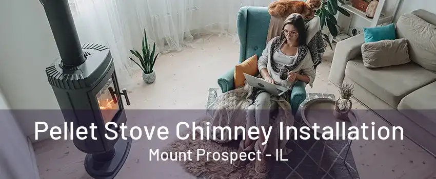 Pellet Stove Chimney Installation Mount Prospect - IL