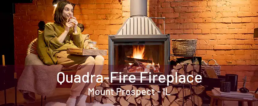 Quadra-Fire Fireplace Mount Prospect - IL